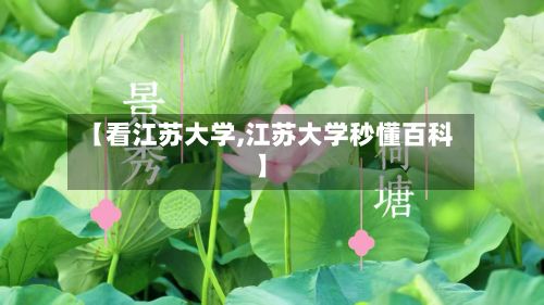 【看江苏大学,江苏大学秒懂百科】