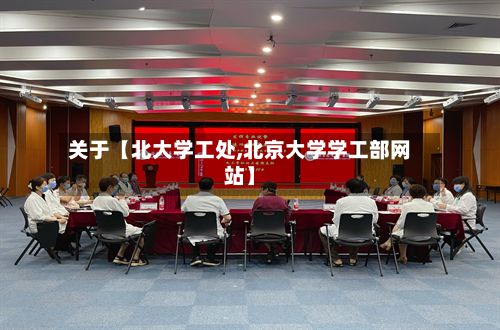 关于【北大学工处,北京大学学工部网站】-第2张图片