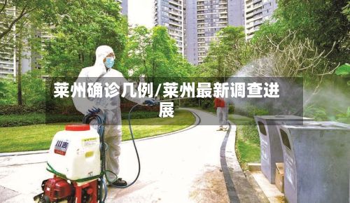 莱州确诊几例/莱州最新调查进展