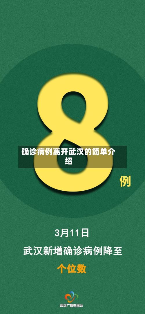 确诊病例离开武汉的简单介绍-第2张图片