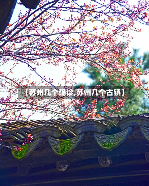 【苏州几个确诊,苏州几个古镇】