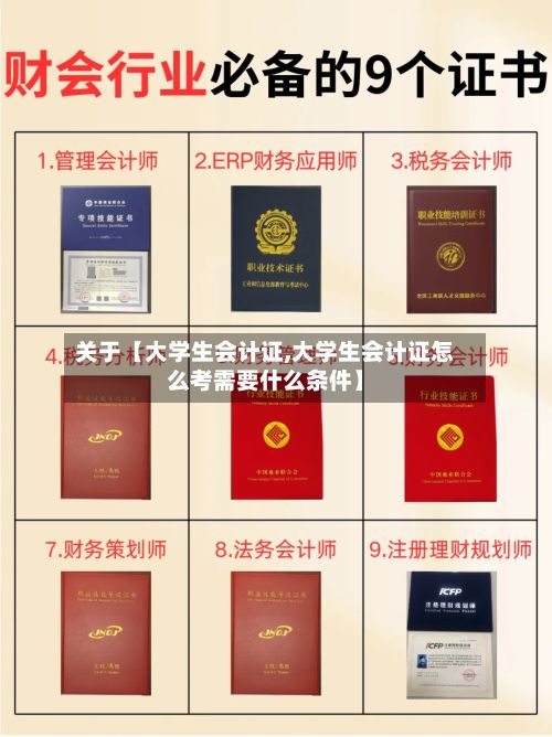 关于【大学生会计证,大学生会计证怎么考需要什么条件】-第2张图片