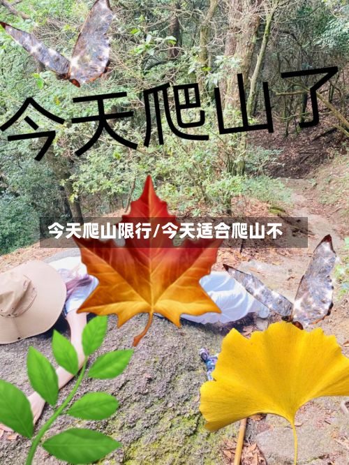 今天爬山限行/今天适合爬山不-第2张图片