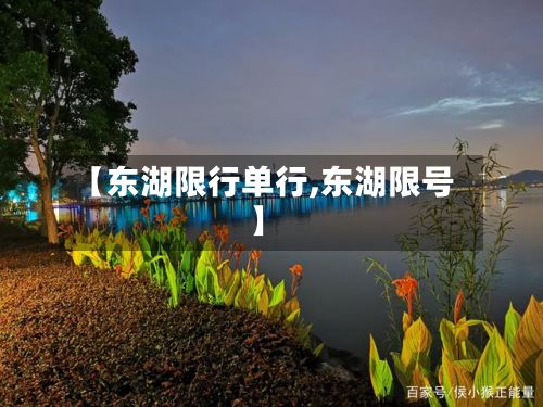 【东湖限行单行,东湖限号】-第3张图片
