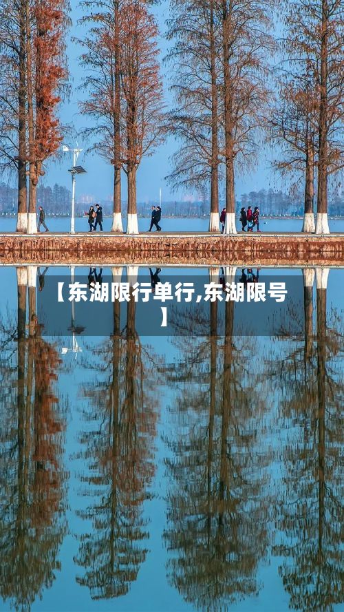 【东湖限行单行,东湖限号】-第2张图片