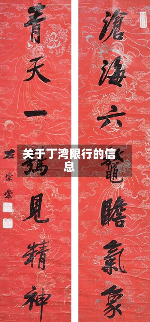 关于丁湾限行的信息