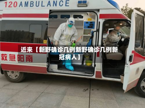 近来【新野确诊几例新野确诊几例新冠病人】-第3张图片