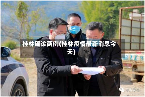 桂林确诊两例(桂林疫情最新消息今天)-第3张图片