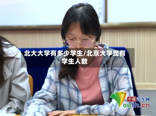 北大大学有多少学生/北京大学现有学生人数-第2张图片