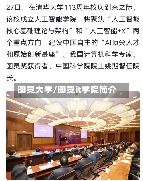 图灵大学/图灵it学院简介