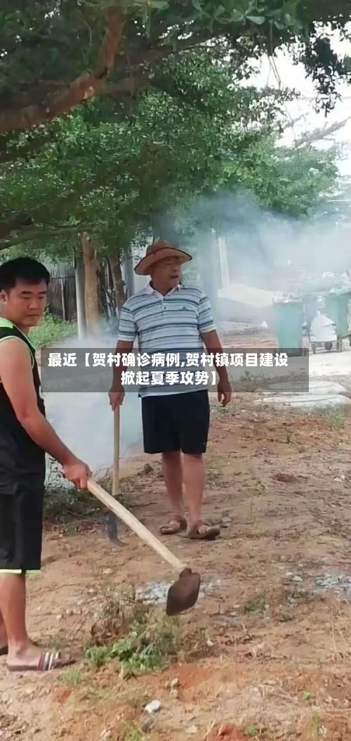 最近【贺村确诊病例,贺村镇项目建设掀起夏季攻势】-第2张图片