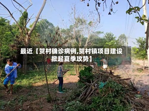 最近【贺村确诊病例,贺村镇项目建设掀起夏季攻势】
