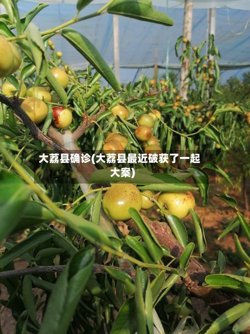 大荔县确诊(大荔县最近破获了一起大案)