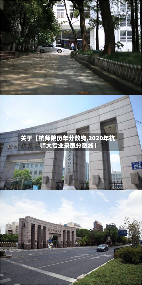 关于【杭师院历年分数线,2020年杭师大专业录取分数线】-第2张图片
