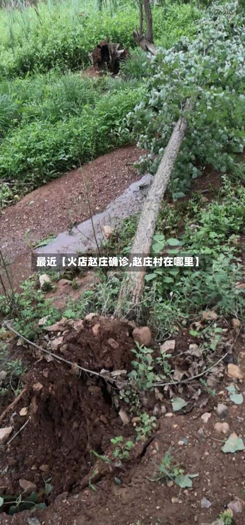 最近【火店赵庄确诊,赵庄村在哪里】