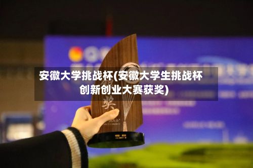 安徽大学挑战杯(安徽大学生挑战杯创新创业大赛获奖)-第2张图片