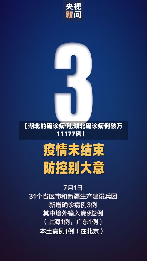 【湖北的确诊病例,湖北确诊病例破万11177例】-第2张图片