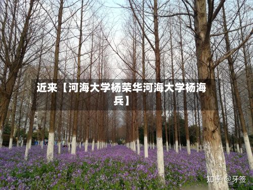 近来【河海大学杨荣华河海大学杨海兵】-第2张图片