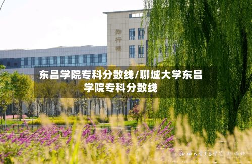 东昌学院专科分数线/聊城大学东昌学院专科分数线-第2张图片