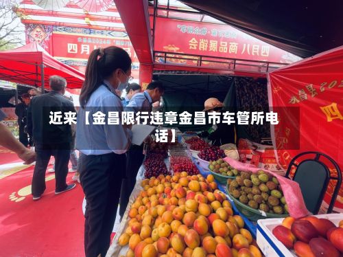 近来【金昌限行违章金昌市车管所电话】