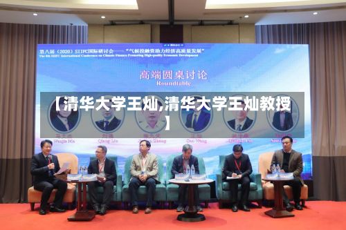【清华大学王灿,清华大学王灿教授】