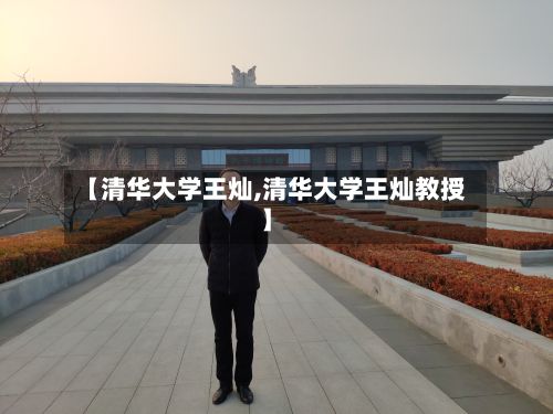 【清华大学王灿,清华大学王灿教授】-第3张图片