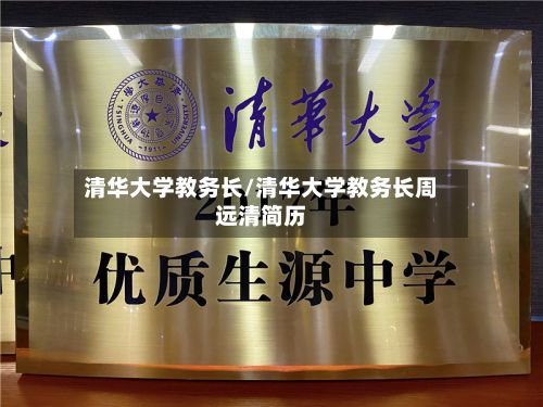 清华大学教务长/清华大学教务长周远清简历