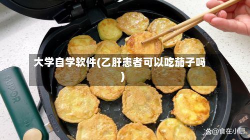 大学自学软件(乙肝患者可以吃茄子吗)