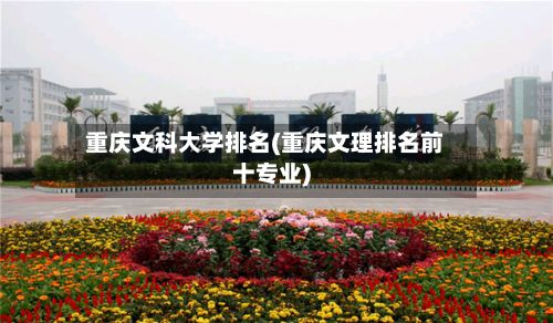 重庆文科大学排名(重庆文理排名前十专业)-第3张图片