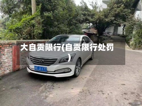 大自贡限行(自贡限行处罚)-第3张图片