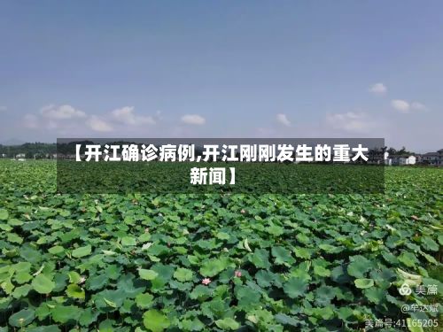 【开江确诊病例,开江刚刚发生的重大新闻】