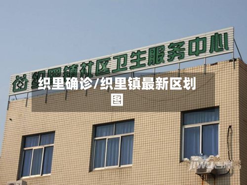 织里确诊/织里镇最新区划图