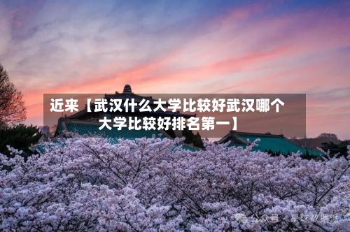 近来【武汉什么大学比较好武汉哪个大学比较好排名第一】