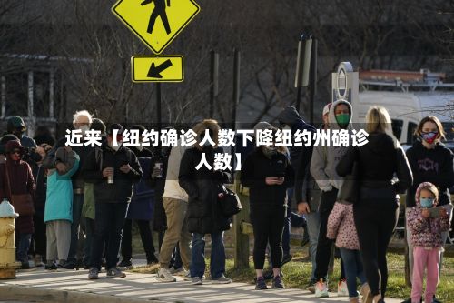 近来【纽约确诊人数下降纽约州确诊人数】-第2张图片