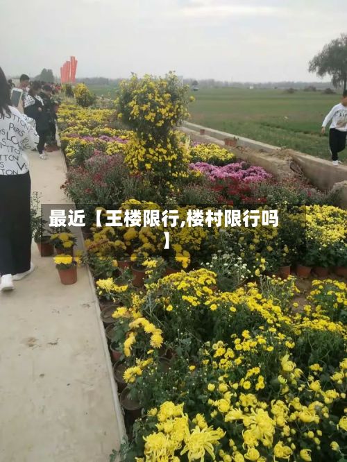 最近【王楼限行,楼村限行吗】