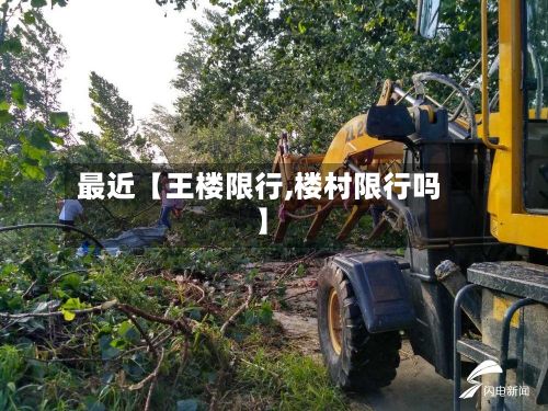 最近【王楼限行,楼村限行吗】-第2张图片