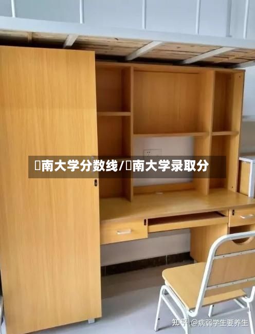 堲南大学分数线/朁南大学录取分-第3张图片