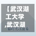 【武汉湖工大学,武汉湖工大学距武昌二路中南新苑多远】-第2张图片