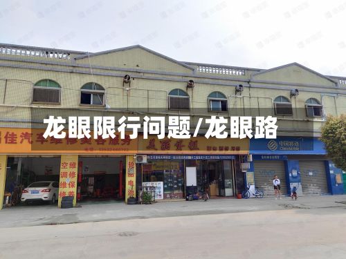 龙眼限行问题/龙眼路-第1张图片