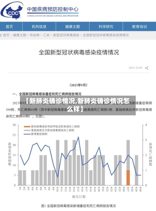【新肺炎确诊情况,新肺炎确诊情况怎么样】