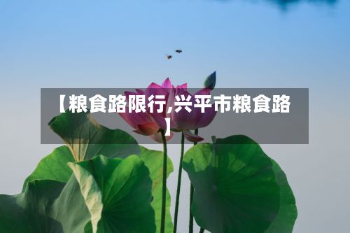 【粮食路限行,兴平市粮食路】