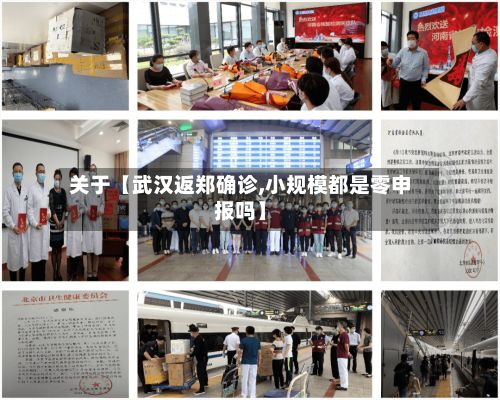 关于【武汉返郑确诊,小规模都是零申报吗】-第3张图片