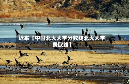 近来【中国北大大学分数线北大大学录取线】-第2张图片
