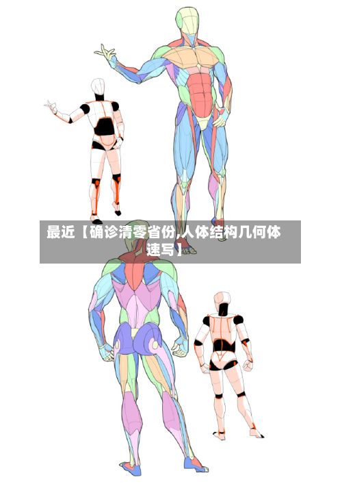 最近【确诊清零省份,人体结构几何体速写】