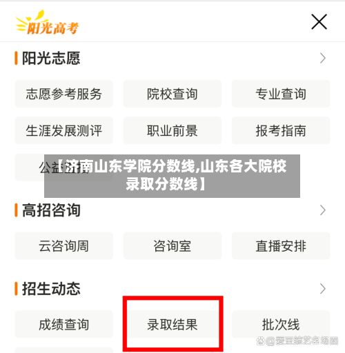 【济南山东学院分数线,山东各大院校录取分数线】-第3张图片