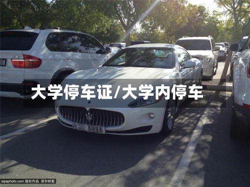 大学停车证/大学内停车-第2张图片