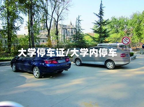 大学停车证/大学内停车-第3张图片