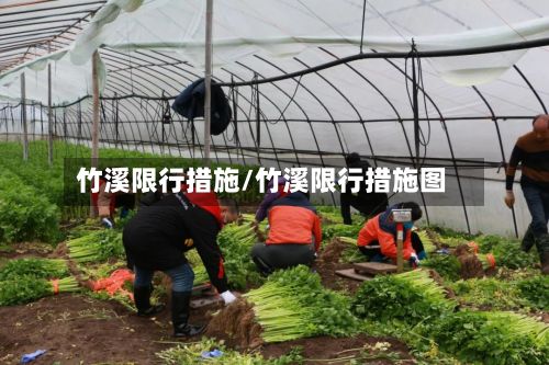 竹溪限行措施/竹溪限行措施图