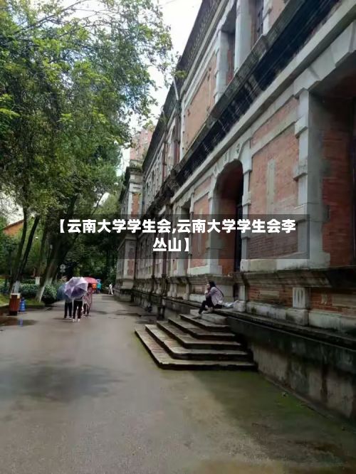 【云南大学学生会,云南大学学生会李丛山】