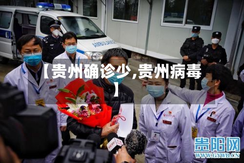 【贵州确诊少,贵州病毒】